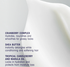 Oribe Supershine Hydrating Conditioner Travel